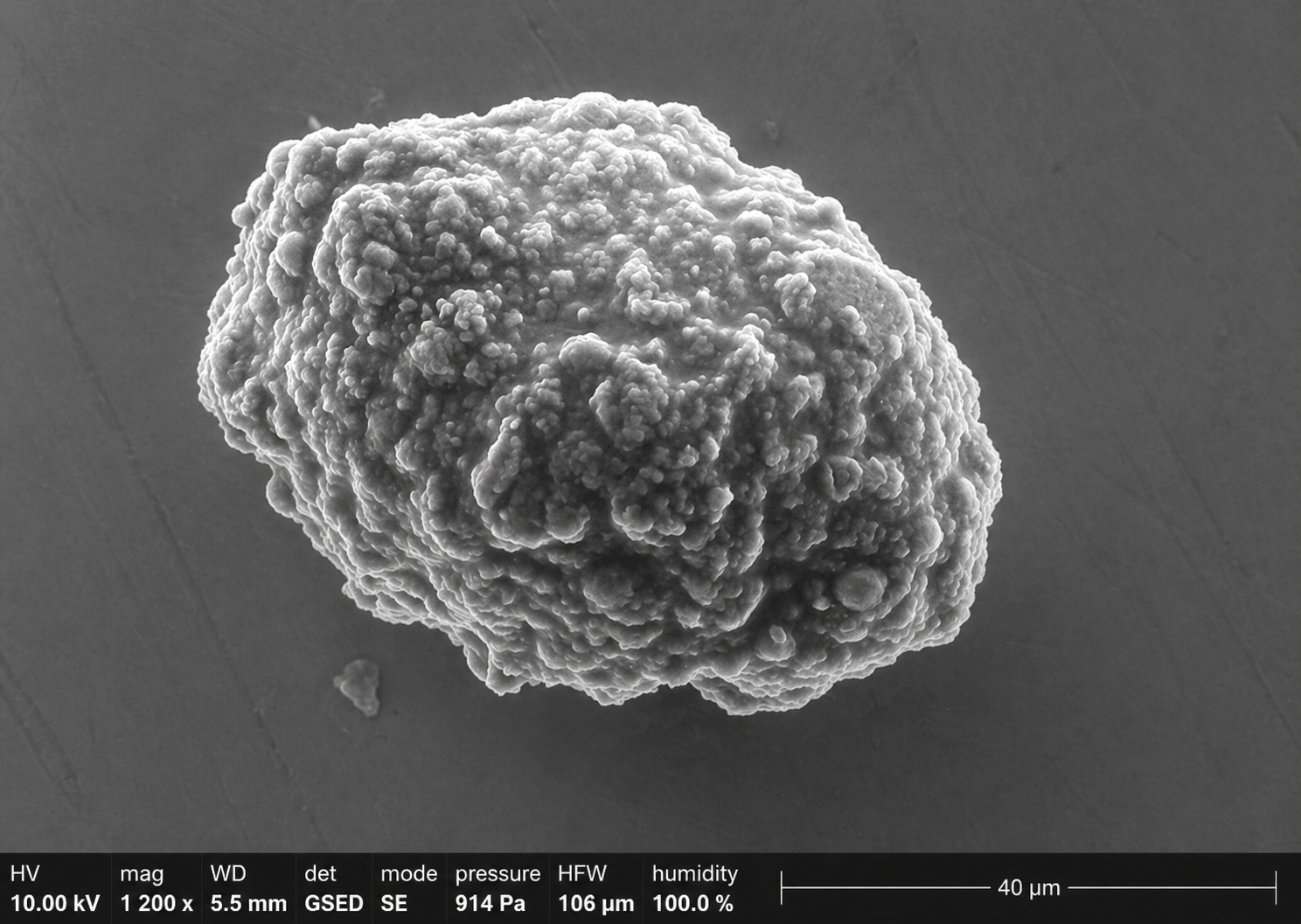 VivoHatch® – Microscopie électronique 40 µm